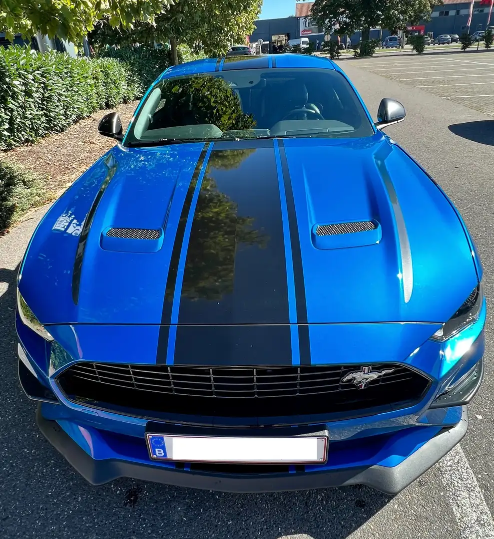 Ford Mustang 2.3 EcoBoost (EU6.2) Blauw - 1