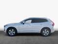 Volvo XC60 XC60 B5 B AWD Core Weiß - thumbnail 4