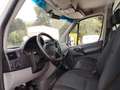 Mercedes-Benz SPRINTER  315 CDI 2.2 Bianco - thumbnail 9