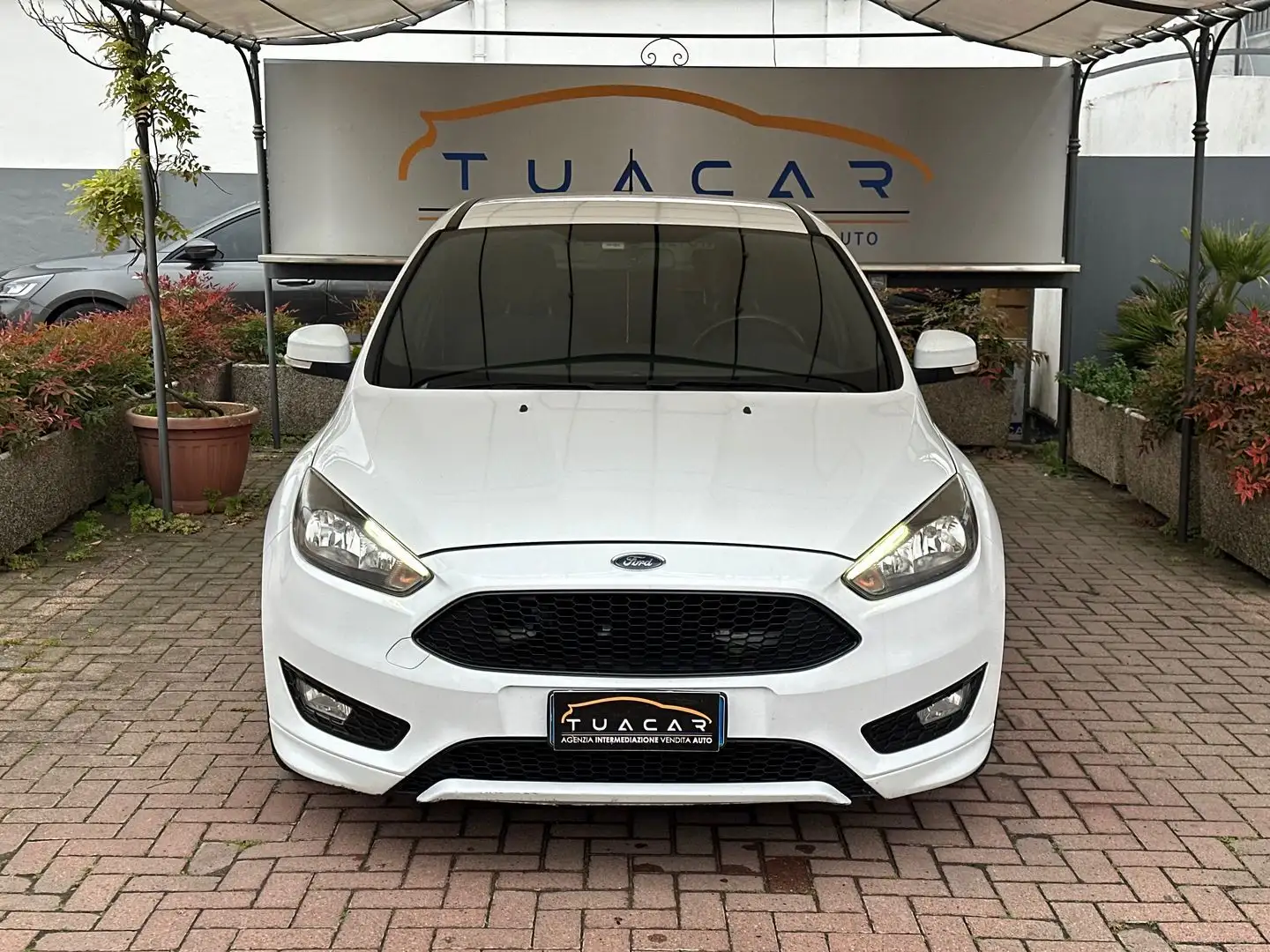 Ford Focus ST Line 1.5 TDCi Bianco - 2