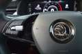 Skoda Kamiq 1.6TDI Ambition Blau - thumbnail 17