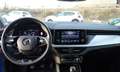 Skoda Kamiq 1.6TDI Ambition Blau - thumbnail 13