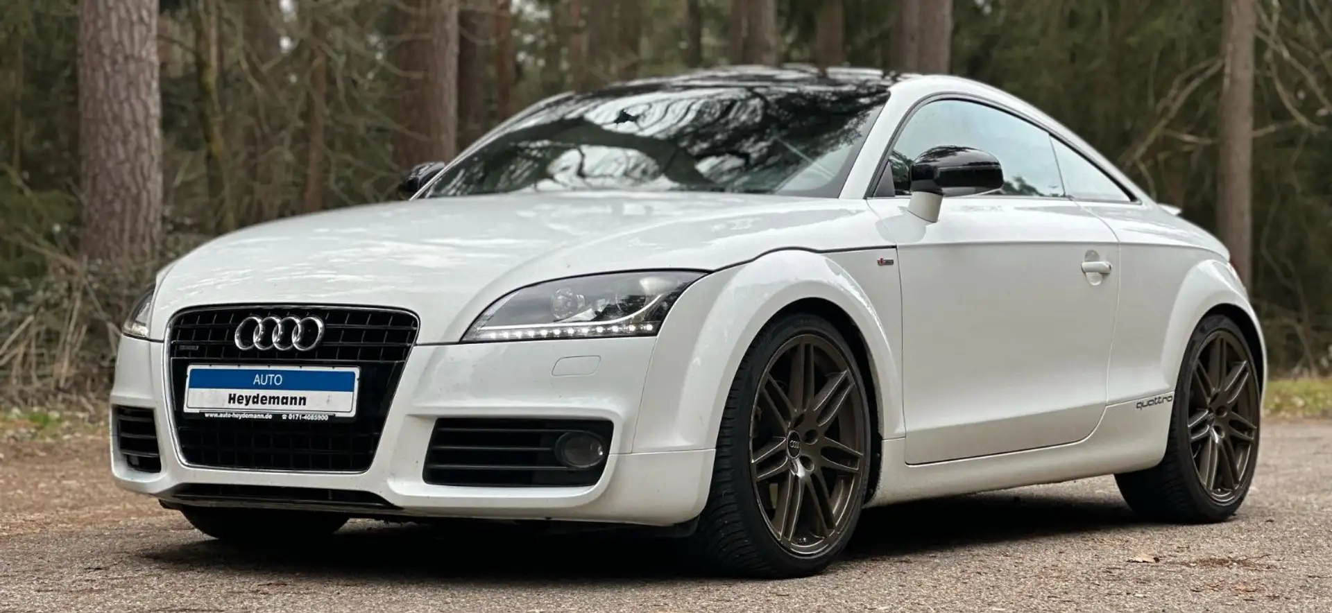 Audi TT Coupe/2.0 TDI  quattro LED Navi Xenon S Line Wit - 1