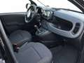 Fiat Panda MY24 1.0 Klima PDC Citypaket Noir - thumbnail 6