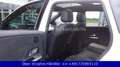 Mercedes-Benz B 200 d 8G-DCT AMG Line *PANO*DISTRONIC*LED*AHK* Weiß - thumbnail 12
