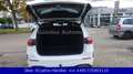 Mercedes-Benz B 200 d 8G-DCT AMG Line *PANO*DISTRONIC*LED*AHK* Weiß - thumbnail 9