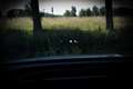 Skoda Enyaq iV 60 Trekhaak/ Head up/ Blindspot/ Keyless/ Carpl Grijs - thumbnail 28