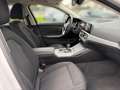 BMW 320 320i xDrive Weiß - thumbnail 13