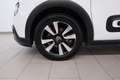 Citroen C3 Shine Weiß - thumbnail 5