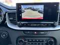 Kia XCeed Vision Rouge - thumbnail 23