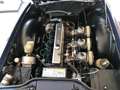 Triumph TR6 2.5 Carburatori Mavi - thumbnail 11