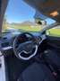 Kia Picanto Attract Weiß - thumbnail 8