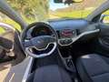 Kia Picanto Attract Weiß - thumbnail 9