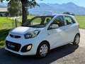 Kia Picanto Attract Weiß - thumbnail 3
