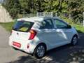 Kia Picanto Attract Weiß - thumbnail 5