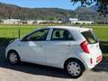 Kia Picanto Attract Weiß - thumbnail 4
