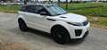 Land Rover Range Rover Evoque Range Rover Evoque HSE 2,0 TD4 Aut. HSE Weiß - thumbnail 2