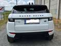 Land Rover Range Rover Evoque Range Rover Evoque HSE 2,0 TD4 Aut. HSE Weiß - thumbnail 4
