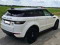 Land Rover Range Rover Evoque Range Rover Evoque HSE 2,0 TD4 Aut. Weiß - thumbnail 3