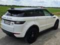 Land Rover Range Rover Evoque Range Rover Evoque HSE 2,0 TD4 Aut. HSE Weiß - thumbnail 3