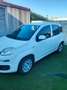 Fiat Panda Panda 1.2 Trussardi s - thumbnail 10