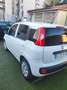 Fiat Panda Panda 1.2 Trussardi s - thumbnail 4