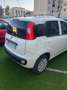 Fiat Panda Panda 1.2 Trussardi s - thumbnail 3