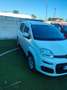 Fiat Panda Panda 1.2 Trussardi s - thumbnail 6