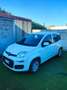 Fiat Panda Panda 1.2 Trussardi s - thumbnail 8