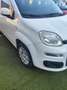 Fiat Panda Panda 1.2 Trussardi s - thumbnail 5