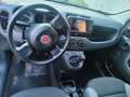 Fiat Panda Panda 1.2 Trussardi s - thumbnail 11