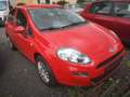 Fiat Punto 1,3l 51KW Rouge - thumbnail 2