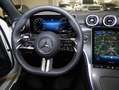Mercedes-Benz C 220 d Limo AMG+DISTRONIC+NIGHT+PANO+AHK+MEMORY Weiß - thumbnail 12