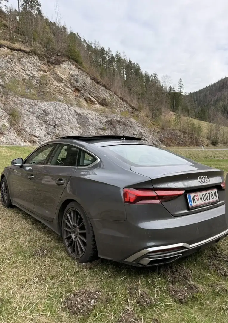 Audi A5 SB 35 TDI - 2