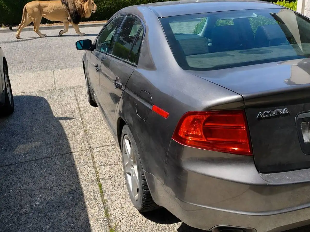 2006 Acura TL