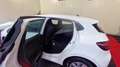 Renault Clio V SOCIETE BLUE DCI 85 AIR NAV Blanc - thumbnail 12