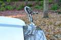 Rolls-Royce Silver Wraith II Blanc - thumbnail 45