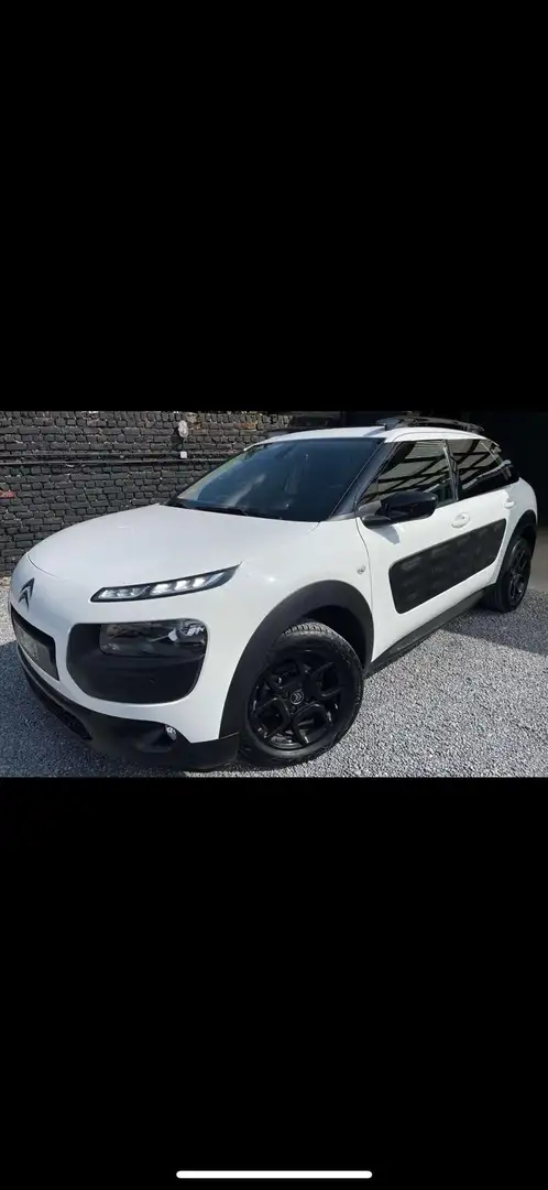 Citroen C4 Cactus 1.2 PureTech Business GPS (EU6.2)(Fleet) - 1