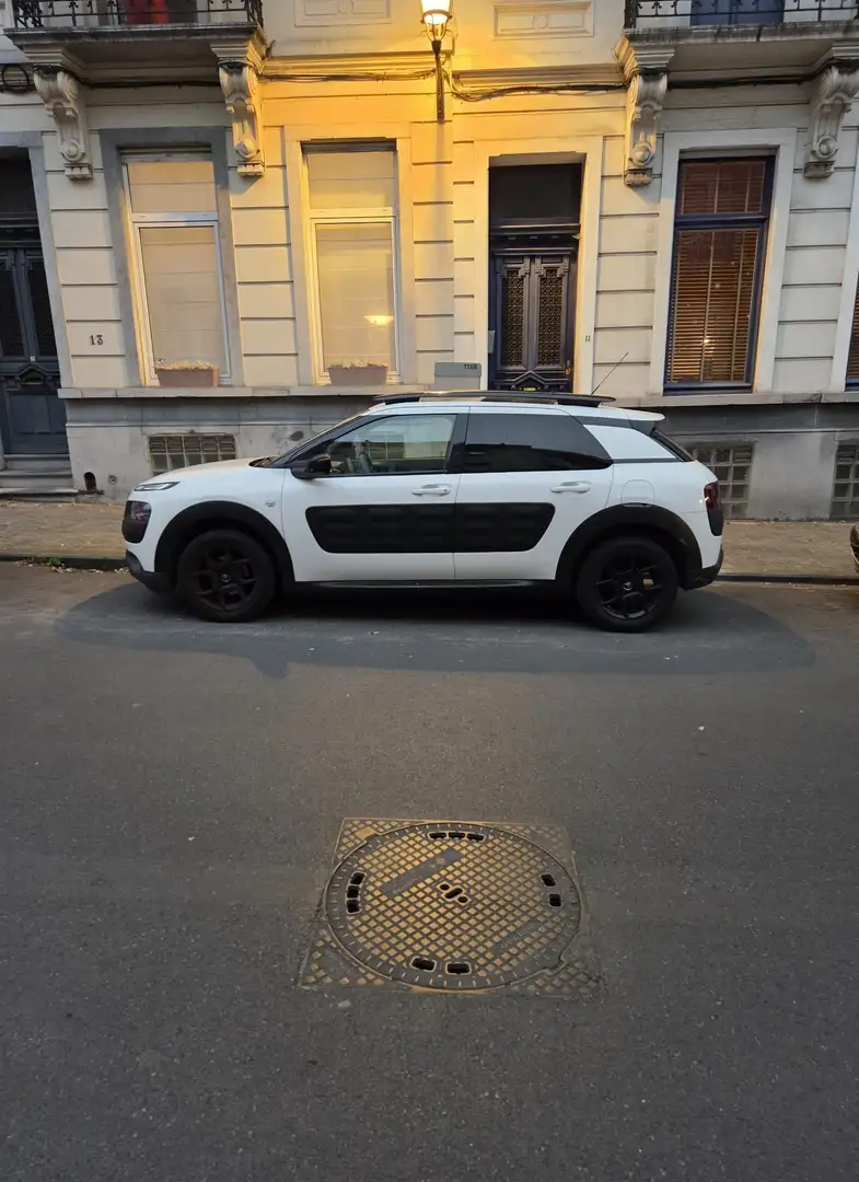 Citroen C4 Cactus 1.2 PureTech Business GPS (EU6.2)(Fleet) - 2