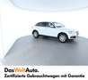 Audi Q5 2.0 TDI quattro intense Weiß - thumbnail 3