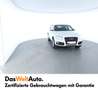 Audi Q5 2.0 TDI quattro intense Weiß - thumbnail 2