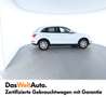 Audi Q5 2.0 TDI quattro intense Weiß - thumbnail 4