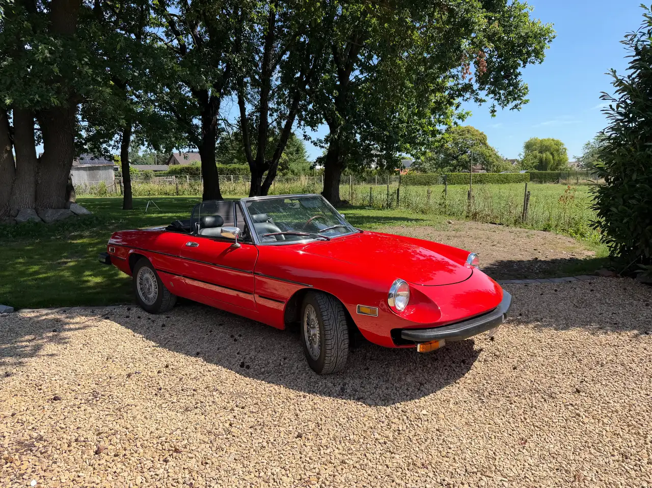 Alfa Romeo Spider, foto 2