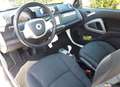 smart forTwo cabrio micro hybrid pulse Weiß - thumbnail 4