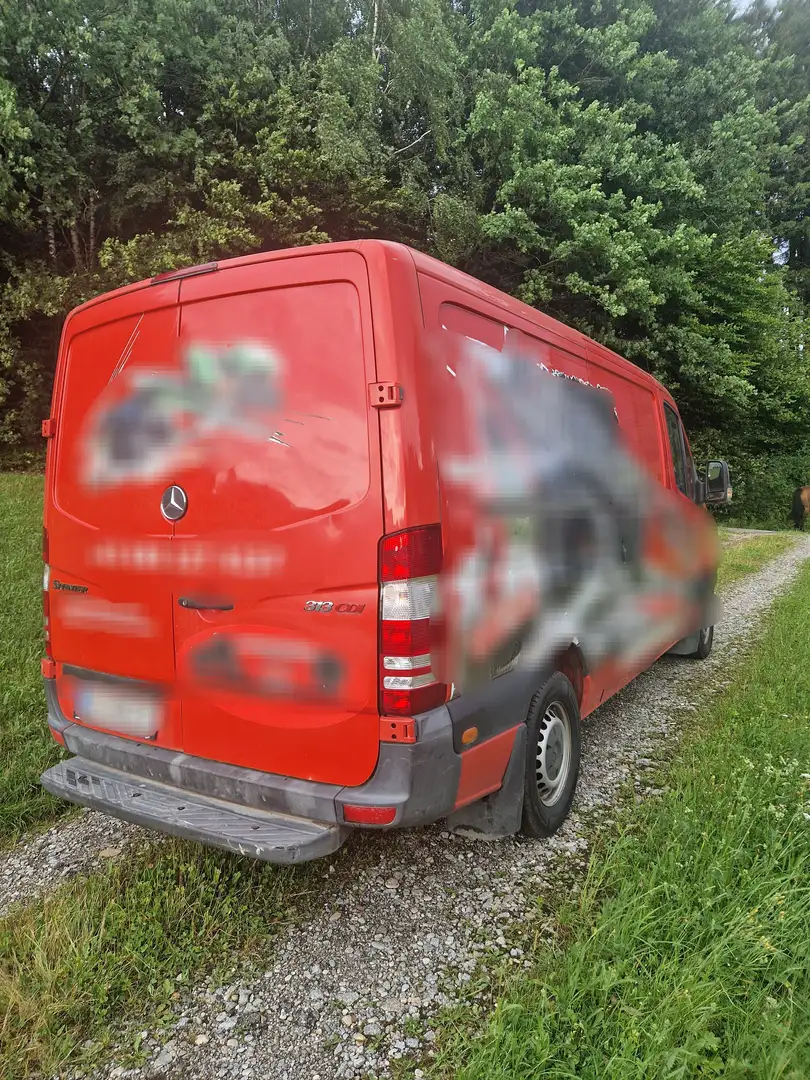 Mercedes-Benz Sprinter Sprinter 313 CDI 3,5 t / 3.665 mm Rot - 2