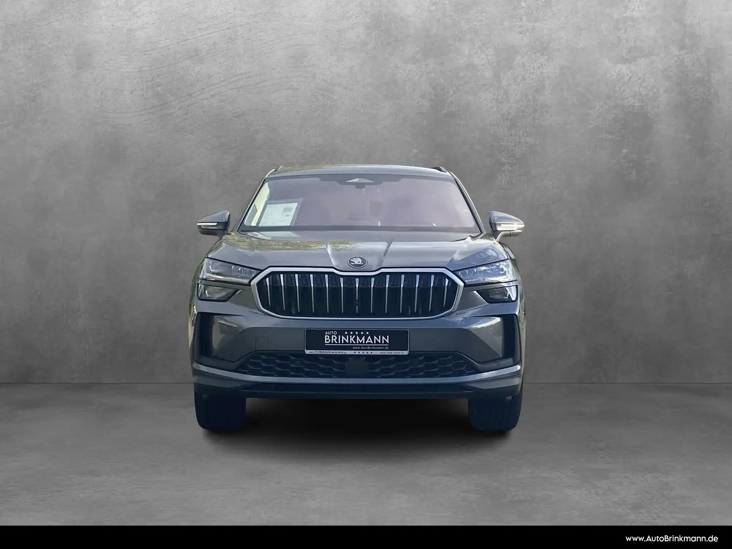 Skoda Kodiaq Kodiaq 2.0 TDI 4x4 Selection  Navi/SHZ/Klima/HiFi Grau - 2