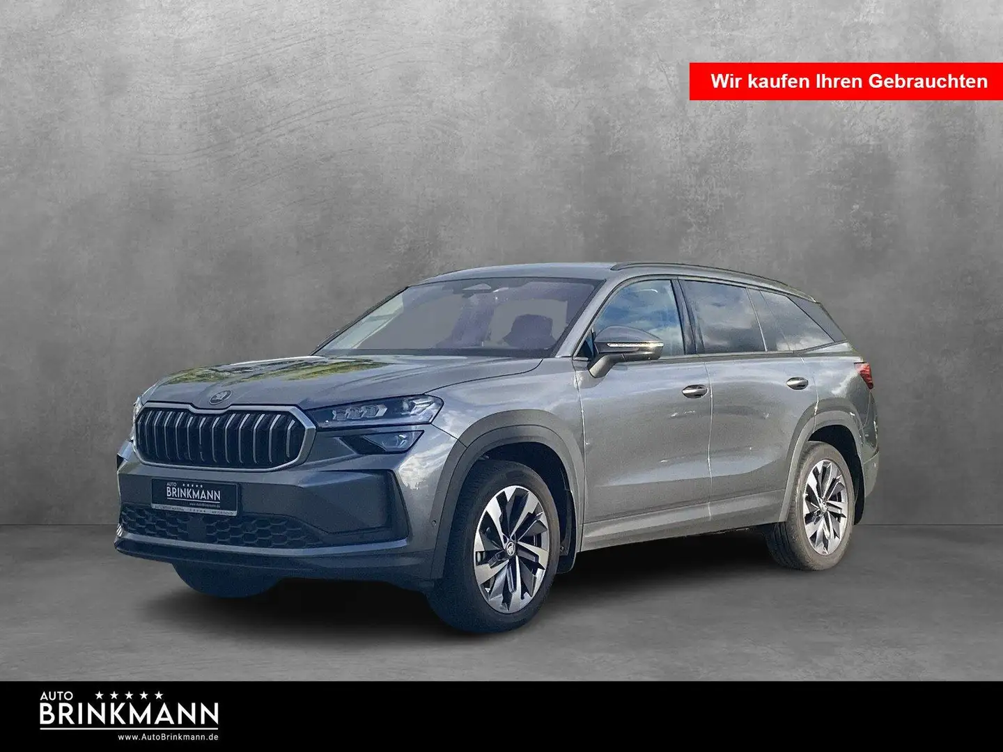 Skoda Kodiaq Kodiaq 2.0 TDI 4x4 Selection  Navi/SHZ/Klima/HiFi Grau - 1