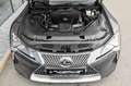 Lexus LC 500 Cabriolet Touring-Paket* Mark Levinson !* Grau - thumbnail 7