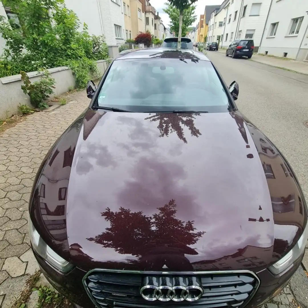 Audi A5 A5 Sportback Diesel 3.0 TDI Sportback quattro DPF Lilla - 2