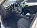 Ford Focus TITANIUM 1.0 EcoBoost MHEV Bluetooth Navi Blanc - thumbnail 10